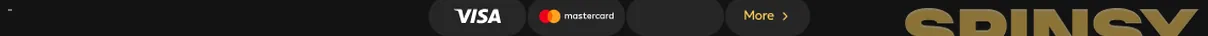 payment methods – Spinsy: Spinsy casino no deposit bonus and welco
